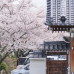 仏教婦人会例会（４月）を開催しました